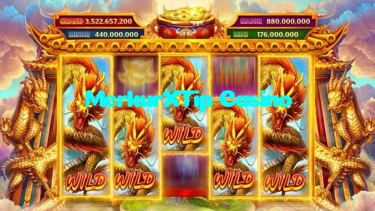 available types of MerkurXTip Casino bet including pre-match live express and system bets